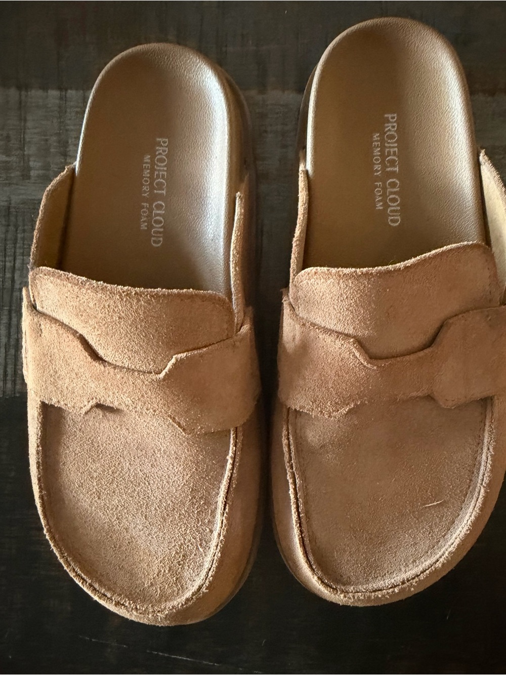 Project Cloud Genuine Suede Clogs size 6.5